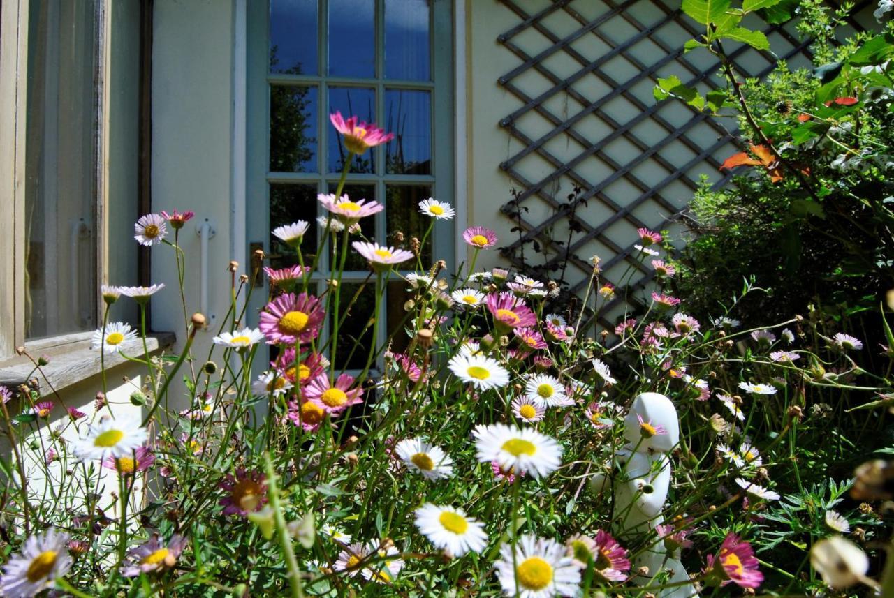 The Cottage Garden - A Herefordshire Retreat Ross-on-Wye Dış mekan fotoğraf